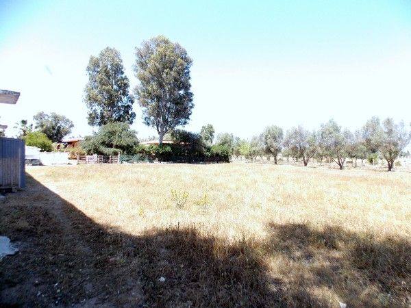 Ferme à vendre à Bouznika