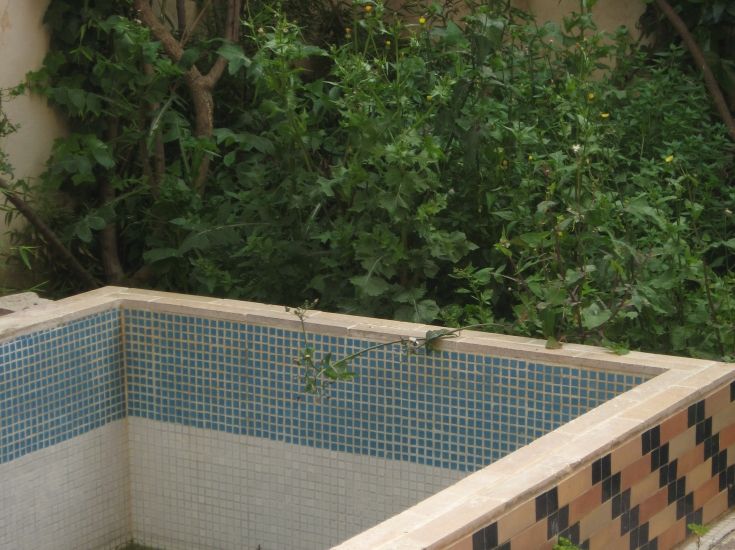Villa à vendre Beni Yakhlef