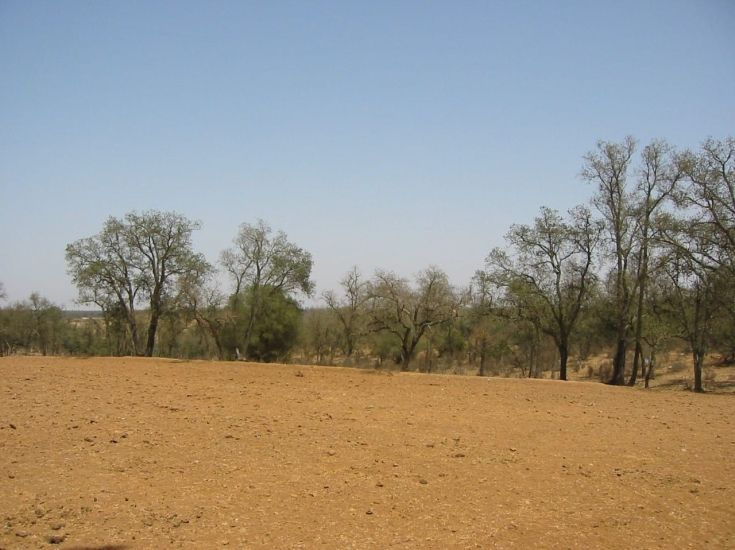 terrain zone urbaine Sidi Bettache