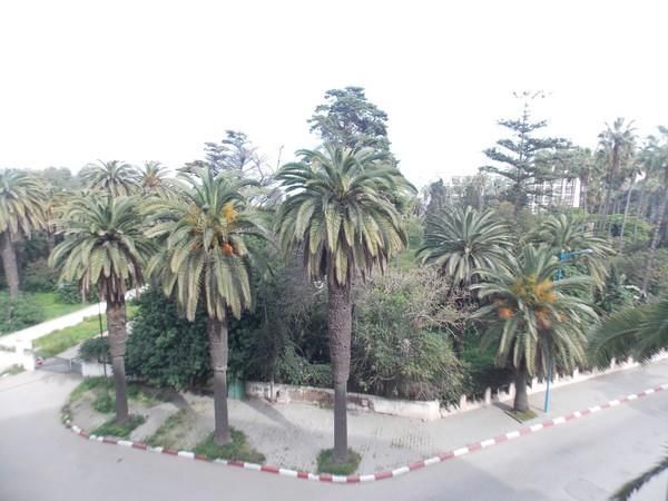A louer vide Kamal Park