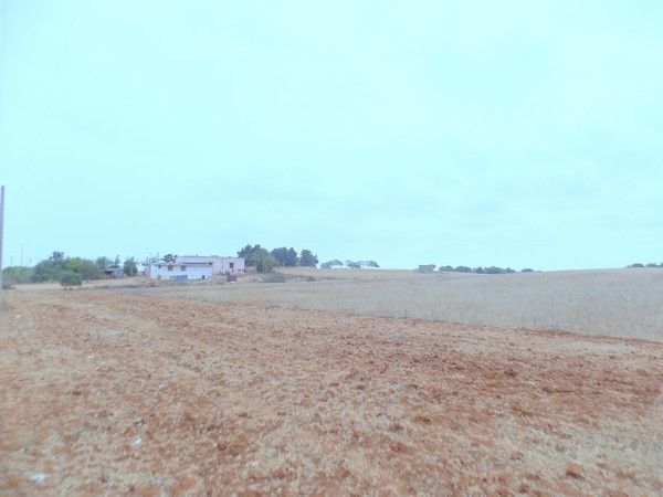 Terrain agricole Mansouria