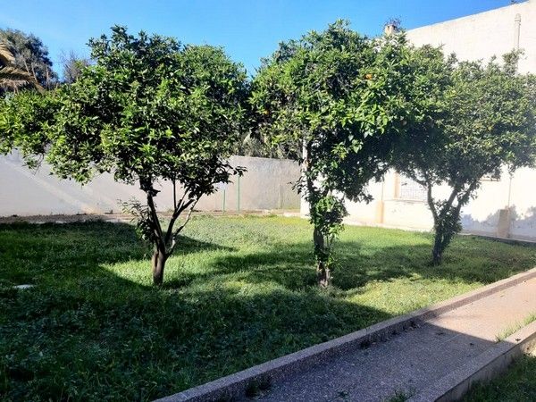 boulevard Mohamed V Mohammedia