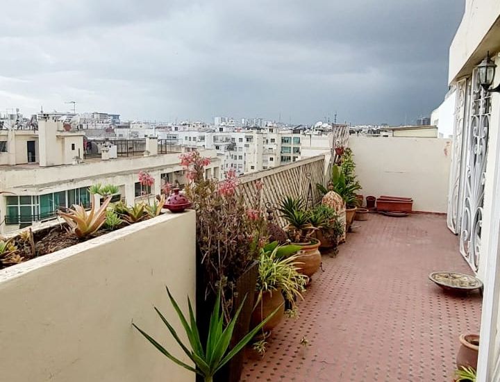 quartier Palmiers Casablanca