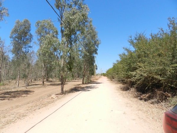 Terrain agricole Jmaa Fdalate