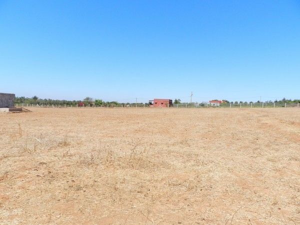 Terrain agricole Jmaa Fdalate