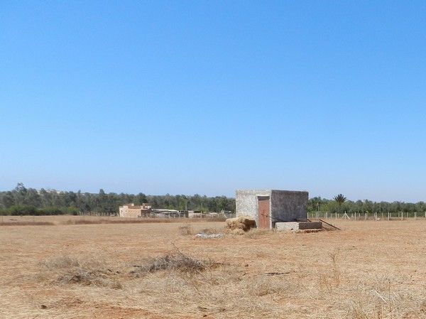 Province de Benslimane