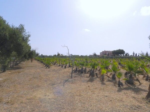 Vente villa Bouznika