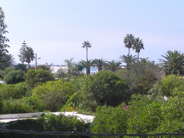 Vends villa plage David Mansouria