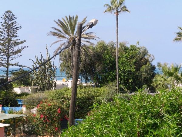 Vends villa plage David Mansouria