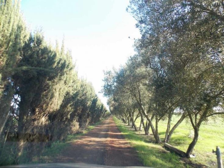 Entrée principale domaine de Jmaa Fdalate Maroc 