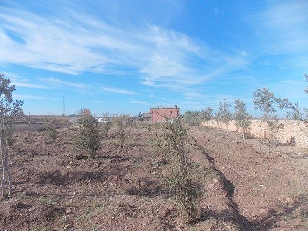 El Jadida ferme à vendre