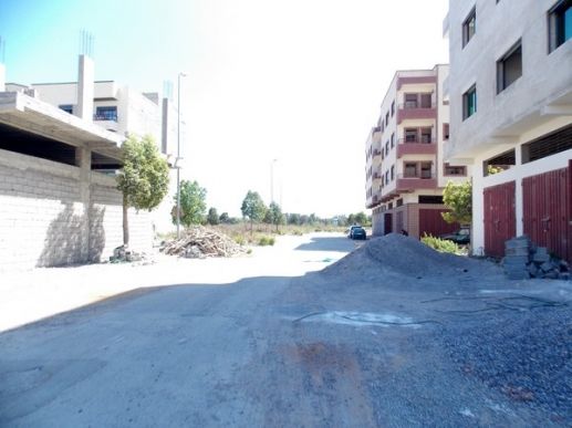 Allainces Darna Louizia