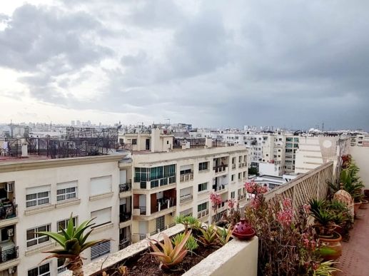 quartier Palmiers Casablanca