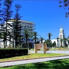 Location appartement vide vue sur le parc