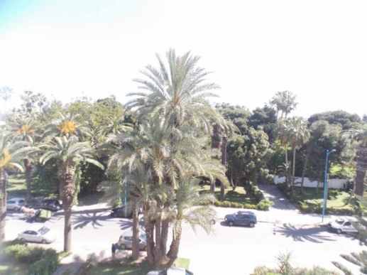 Wafa Boulevard Yacoub El Mansour