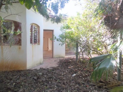 Cabanon plage DAVID