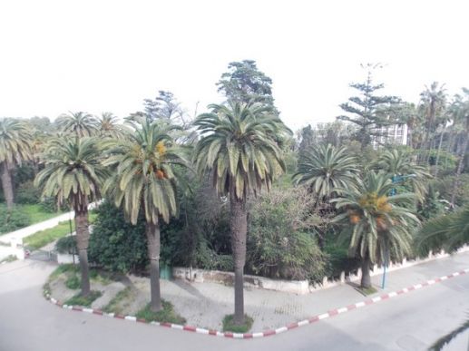 résidence Kamal Park