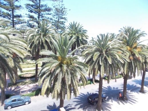 Location de bureaux vue sur le Parc à Mohammedia