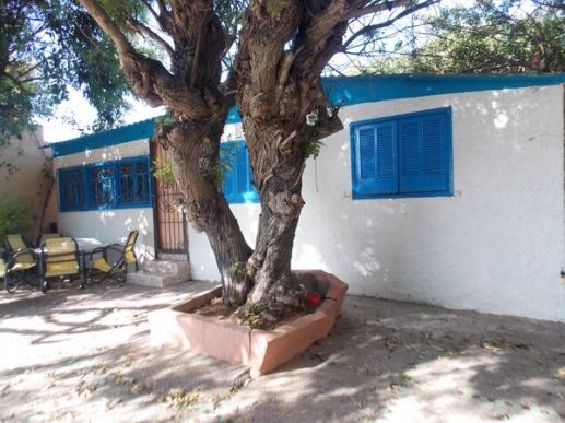 Cabanon Mimosa