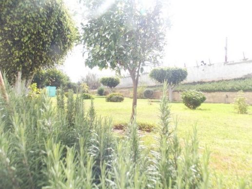 appartement résidence Anouar