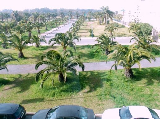 Location bureau Parc Plaza