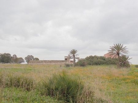 cherche terrain agricole en location