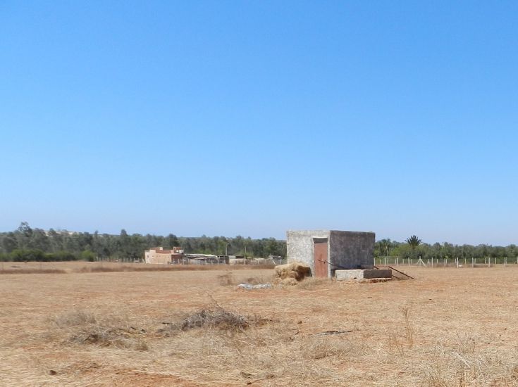 Terrain agricole Jmaa Fdalate